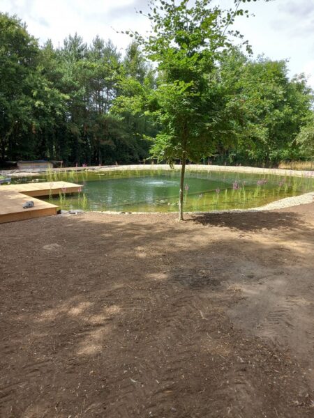 Natural swimming pool
