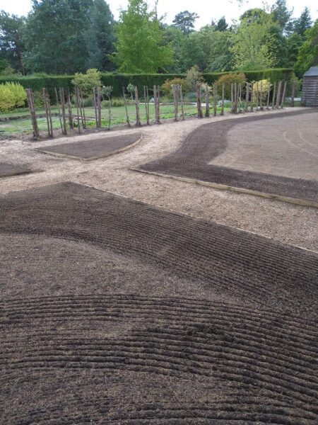 New Lawn preperation-2