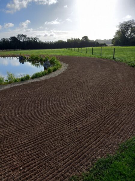 New Lawn preperation