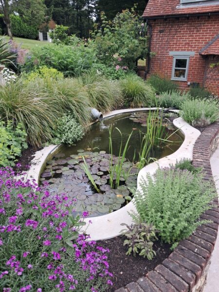 New pond surround and planting